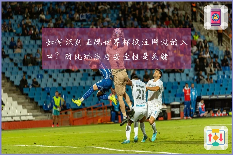 如何识别正规世界杯投注网站的入口？对比玩法与安全性是关键