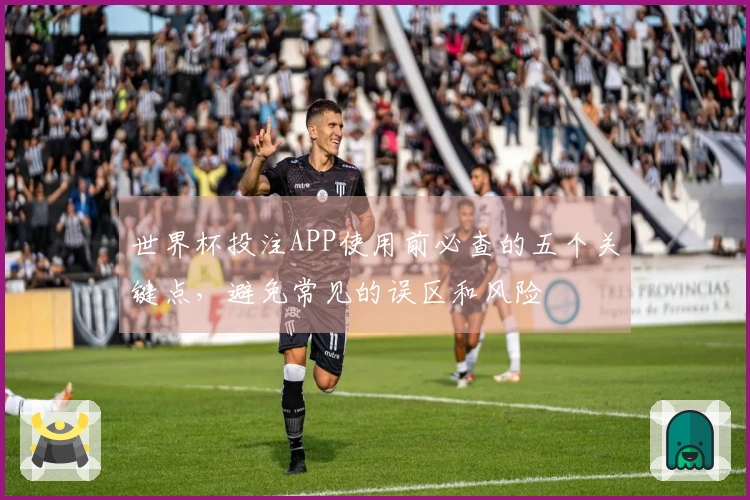 世界杯投注APP使用前必查的五个关键点，避免常见的误区和风险