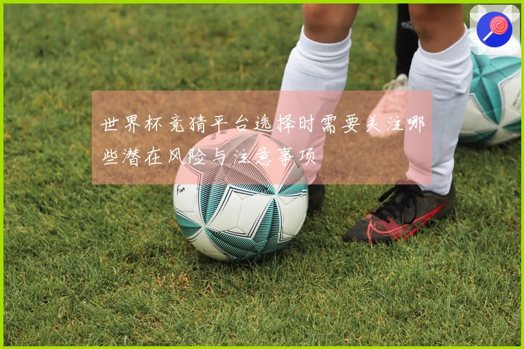 世界杯竞猜平台选择时需要关注哪些潜在风险与注意事项