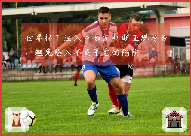 世界杯下注入口如何判断正规与否，避免陷入不良平台的陷阱
