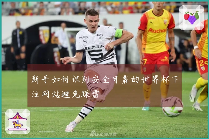 新手如何识别安全可靠的世界杯下注网站避免踩雷