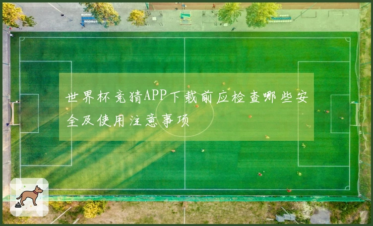 世界杯竞猜APP下载前应检查哪些安全及使用注意事项