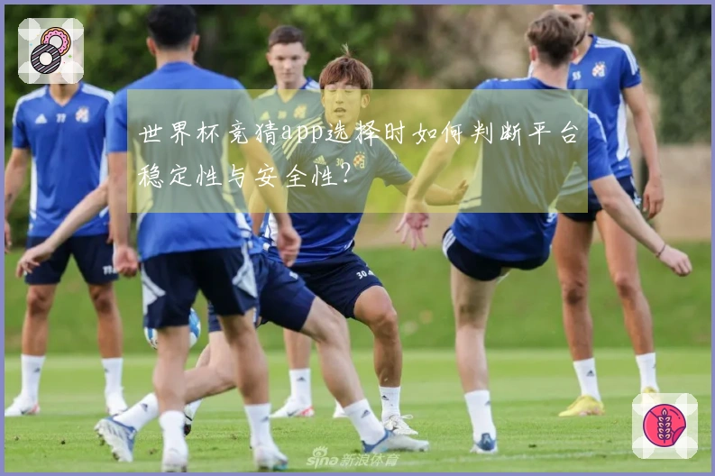 世界杯竞猜app选择时如何判断平台稳定性与安全性？