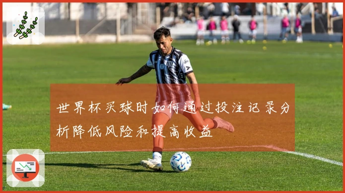 世界杯买球时如何通过投注记录分析降低风险和提高收益
