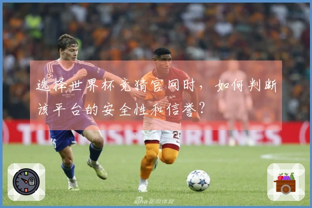 选择世界杯竞猜官网时，如何判断该平台的安全性和信誉？