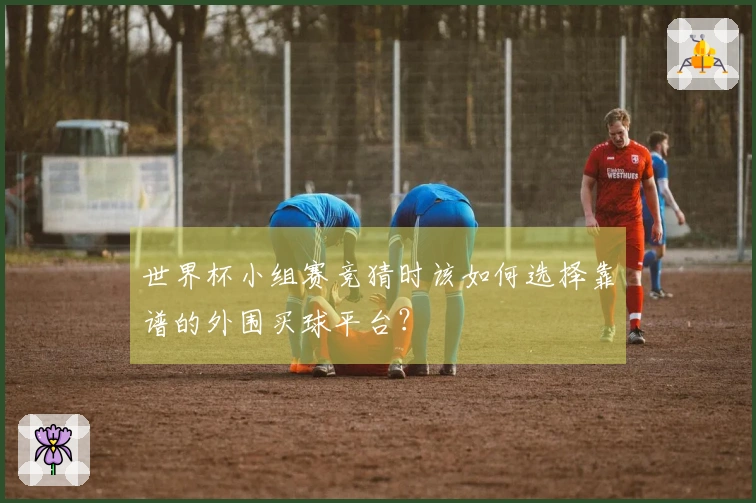 世界杯小组赛竞猜时该如何选择靠谱的外围买球平台？