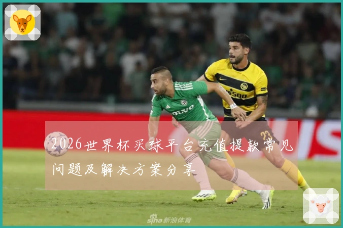 2026世界杯买球平台充值提款常见问题及解决方案分享