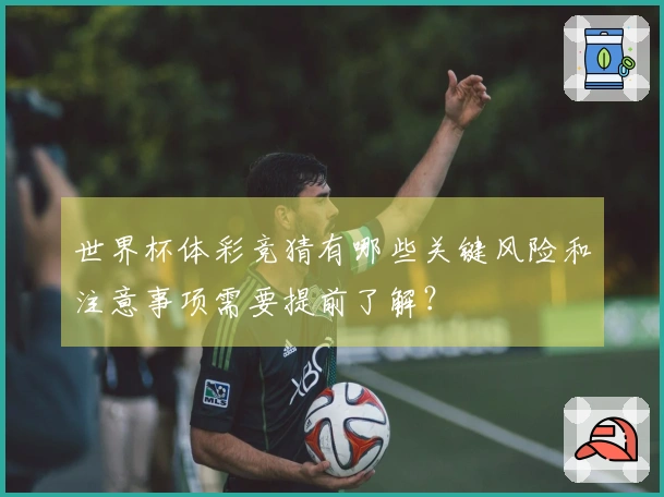 世界杯体彩竞猜有哪些关键风险和注意事项需要提前了解？
