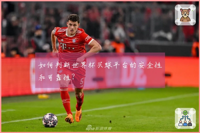 如何判断世界杯买球平台的安全性和可靠性？