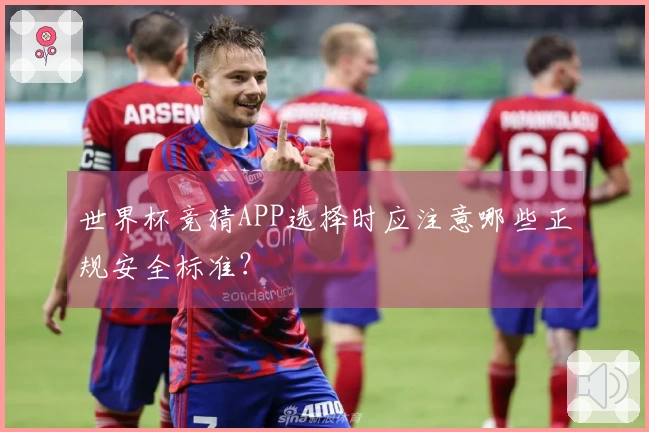 世界杯竞猜APP选择时应注意哪些正规安全标准?