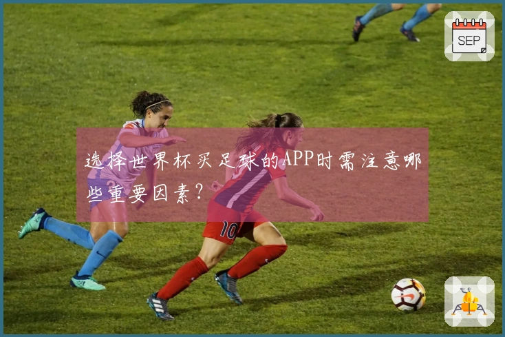 选择世界杯买足球的APP时需注意哪些重要因素？