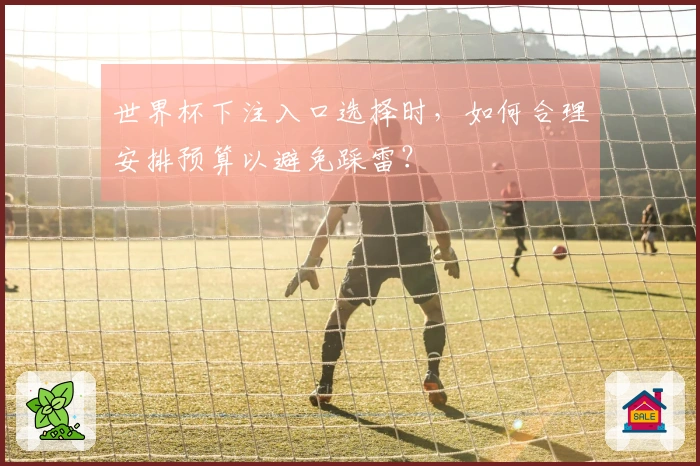 世界杯下注入口选择时,如何合理安排预算以避免踩雷?