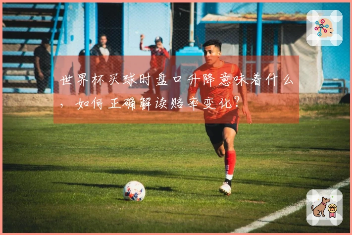 世界杯买球时盘口升降意味着什么，如何正确解读赔率变化？