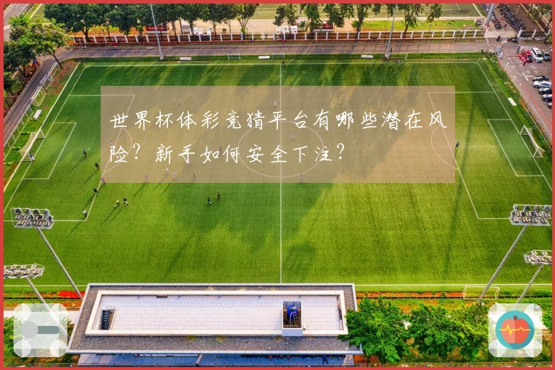 世界杯体彩竞猜平台有哪些潜在风险？新手如何安全下注？