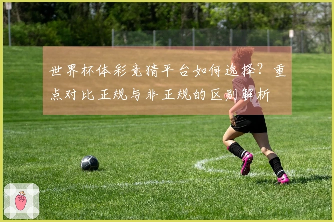 世界杯体彩竞猜平台如何选择？重点对比正规与非正规的区别解析