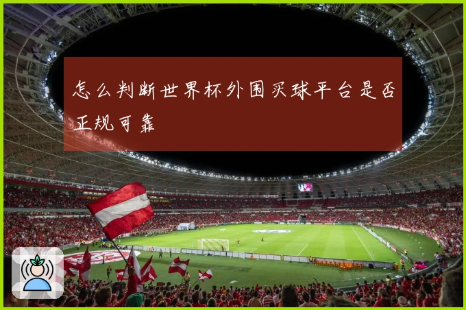 怎么判断世界杯外围买球平台是否正规可靠