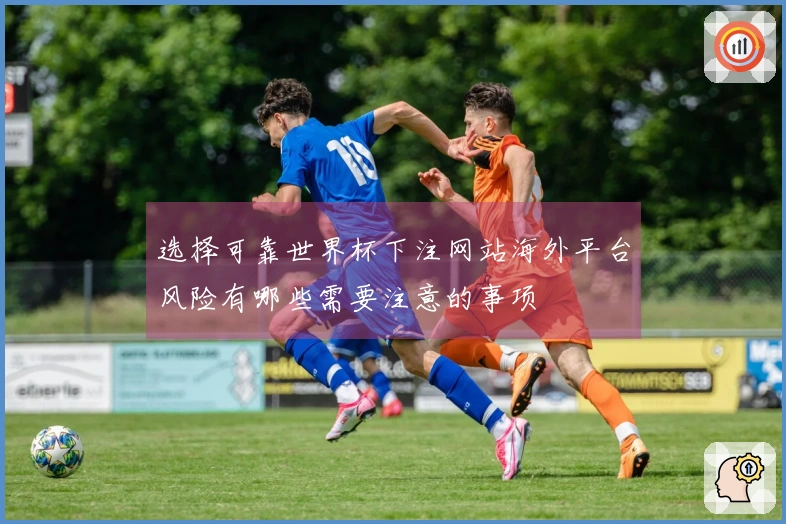 选择可靠世界杯下注网站海外平台风险有哪些需要注意的事项