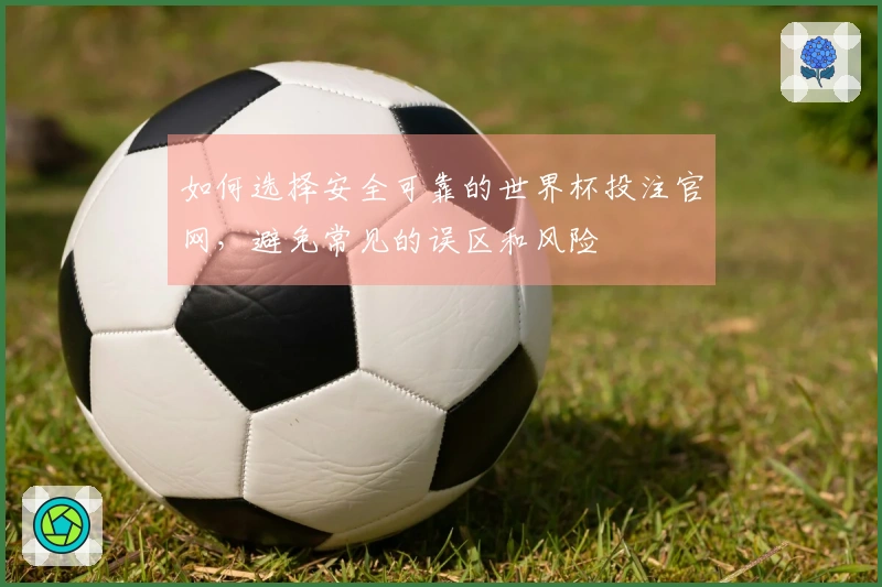 如何选择安全可靠的世界杯投注官网，避免常见的误区和风险