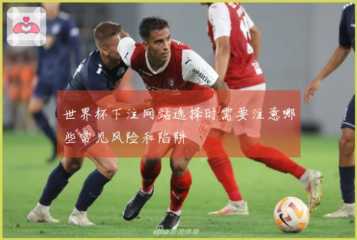 世界杯下注网站选择时需要注意哪些常见风险和陷阱