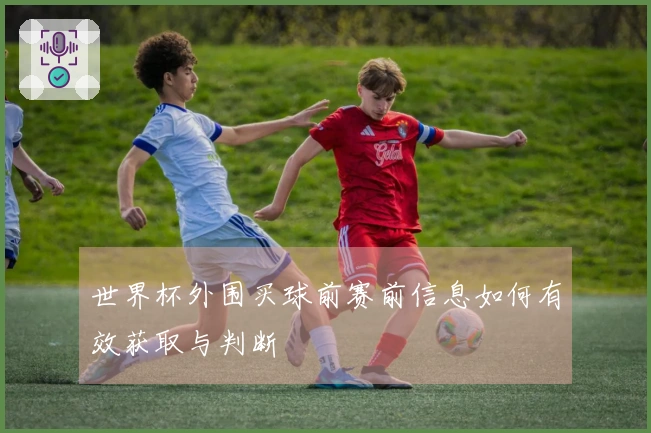 世界杯外围买球前赛前信息如何有效获取与判断