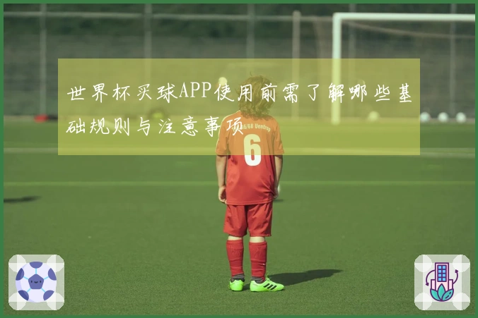 世界杯买球APP使用前需了解哪些基础规则与注意事项