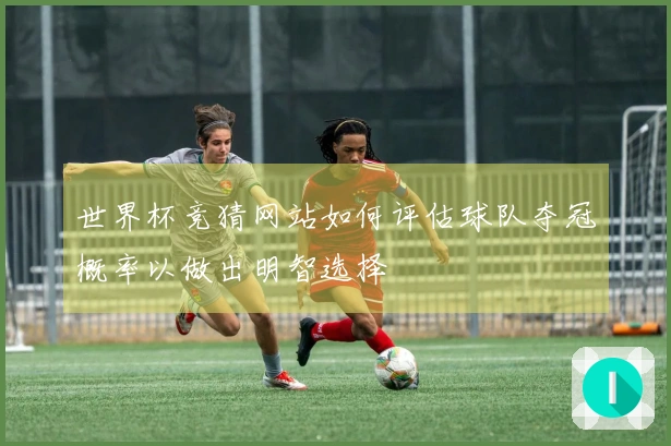 世界杯竞猜网站如何评估球队夺冠概率以做出明智选择