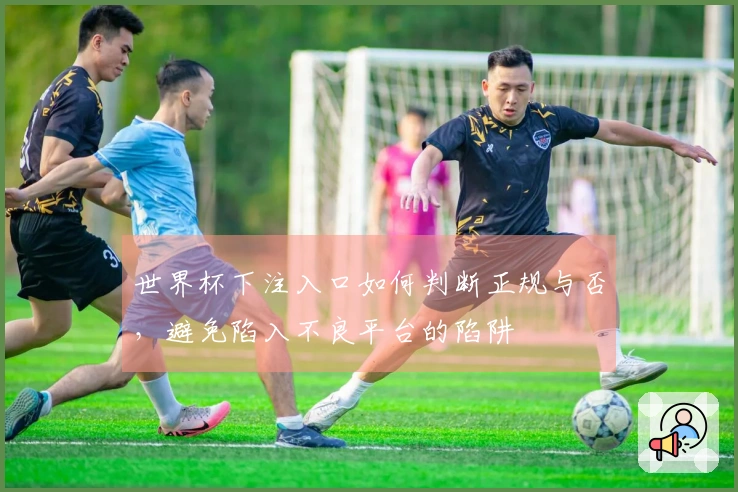 世界杯下注入口如何判断正规与否，避免陷入不良平台的陷阱