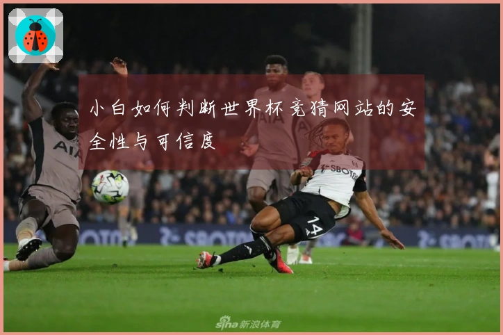 小白如何判断世界杯竞猜网站的安全性与可信度