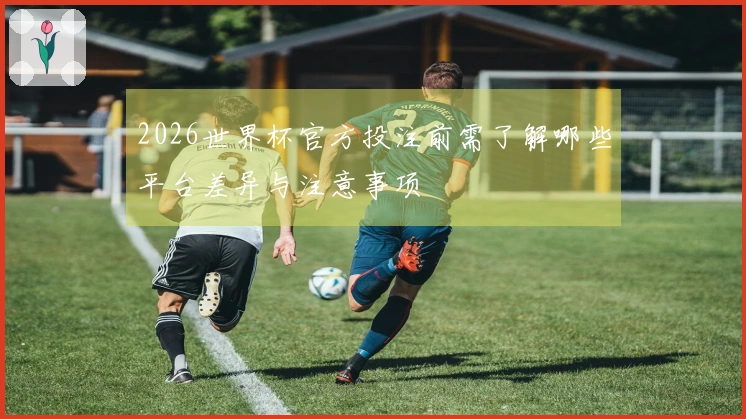 2026世界杯官方投注前需了解哪些平台差异与注意事项