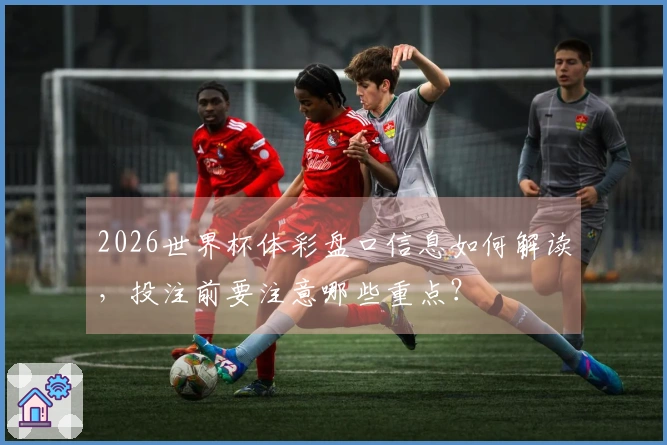 2026世界杯体彩盘口信息如何解读，投注前要注意哪些重点？