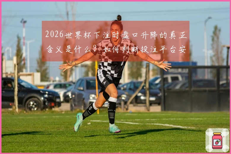 2026世界杯下注时盘口升降的真正含义是什么？如何判断投注平台安全性？