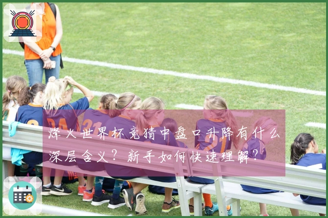 烽火世界杯竞猜中盘口升降有什么深层含义？新手如何快速理解？