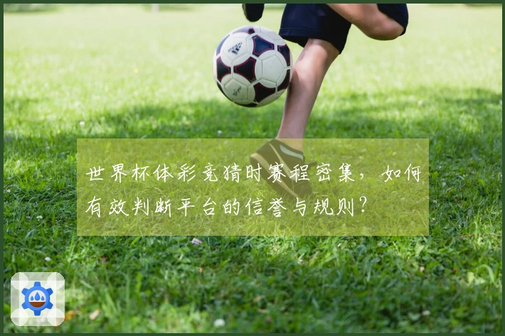 世界杯体彩竞猜时赛程密集，如何有效判断平台的信誉与规则？