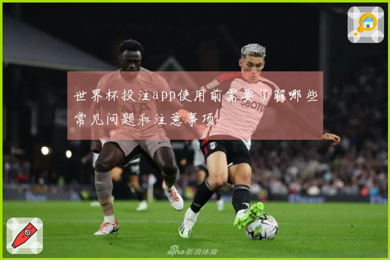 世界杯投注app使用前需要了解哪些常见问题和注意事项