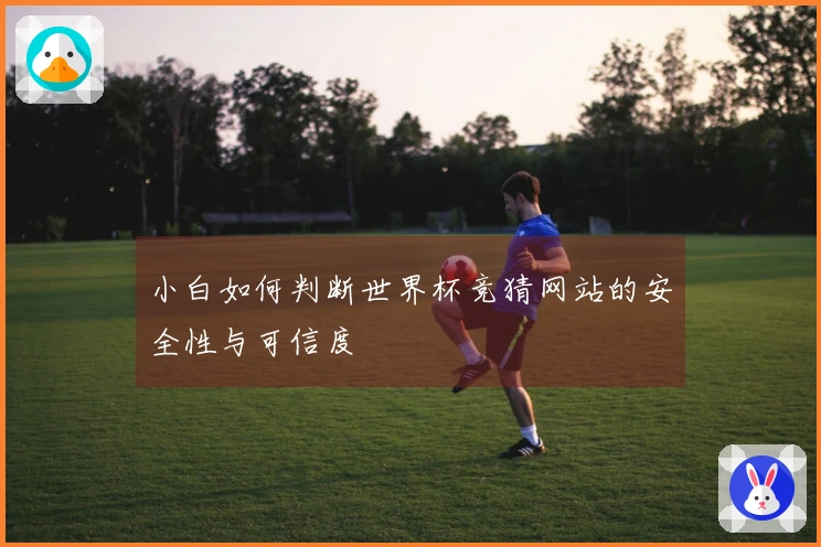 小白如何判断世界杯竞猜网站的安全性与可信度