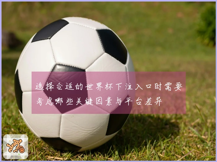 选择合适的世界杯下注入口时需要考虑哪些关键因素与平台差异