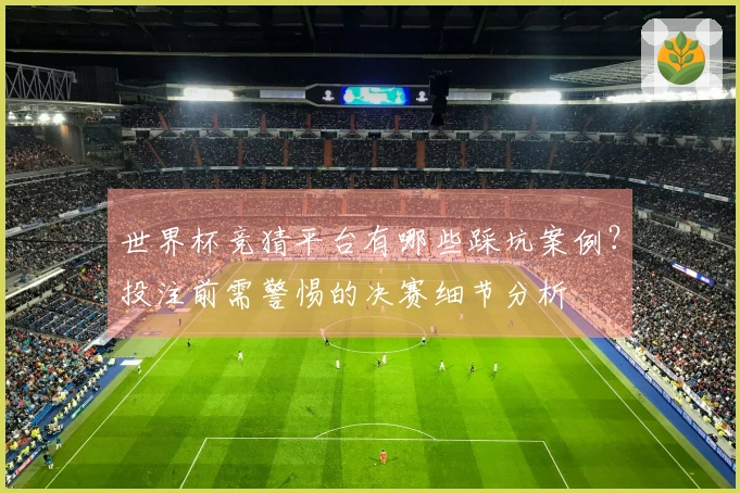 世界杯竞猜平台有哪些踩坑案例？投注前需警惕的决赛细节分析