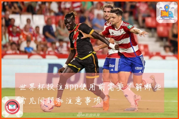 世界杯投注app使用前需要了解哪些常见问题和注意事项