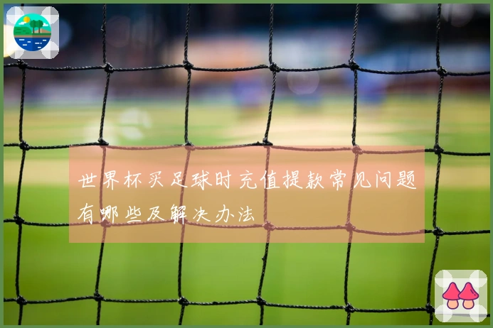 世界杯买足球时充值提款常见问题有哪些及解决办法