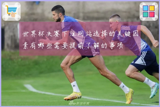 世界杯决赛下注网站选择的关键因素有哪些需要提前了解的事项