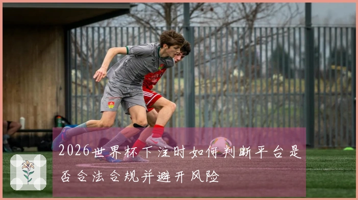 2026世界杯下注时如何判断平台是否合法合规并避开风险