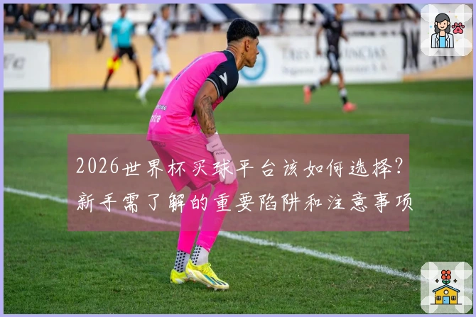 2026世界杯买球平台该如何选择？新手需了解的重要陷阱和注意事项