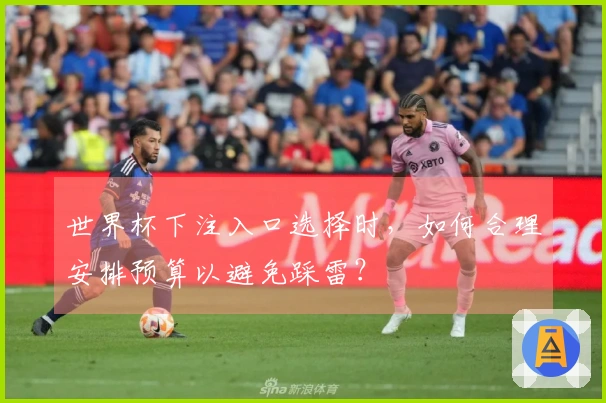 世界杯下注入口选择时，如何合理安排预算以避免踩雷？
