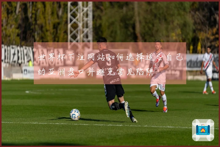 世界杯下注网站如何选择适合自己的亚洲盘口并避免常见陷阱